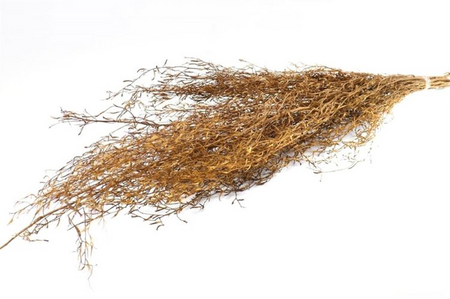 Bos alpha gras l100cm 100g naturel