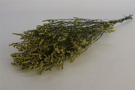 Bos limonium 50g l70d75 slv l groen