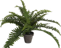 Boston varen fern d45h35cm groen (Zijde-plant)