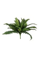 Boston varen in pot d70cm groen