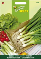 Bosui white lisbon 4g - afbeelding 3