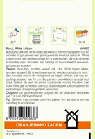 Bosui white lisbon 4g - afbeelding 2