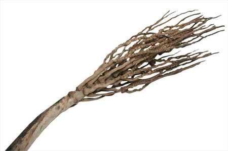 Botay stok l70cm naturel