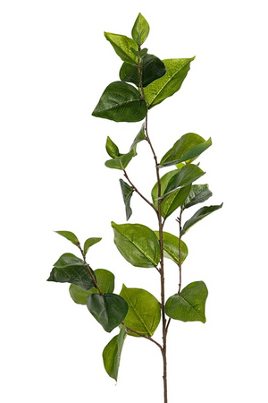 Bougainvilleasteel blad l90cm groen