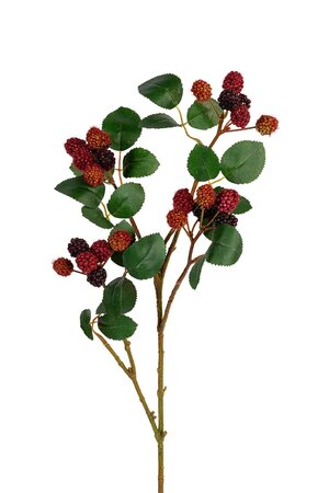 Braambessteel l75cm dk rood