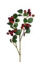 Braambessteel l75cm dk rood