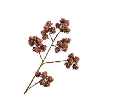 Bramentak l78cm mauve