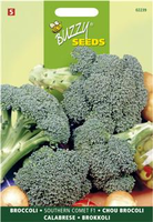 Broccoli southern c. f1 75zd - afbeelding 5