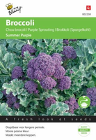 Broccoli summer purple 0.25g - afbeelding 3