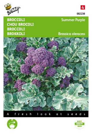 Broccoli summer purple 0.25g - afbeelding 1