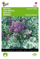 Broccoli summer purple 0.25g