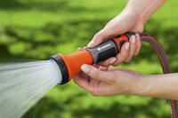 Broes - afbeelding 2