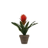 Bromelia in pot d30h33cm fuchsia (Zijde-plant)