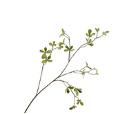 Bucidatak l77cm groen