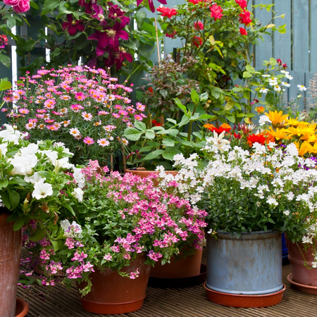 Buitencanvas 58x58cm bloemen in pot