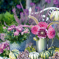 Buitencanvas 58x58cm bloemen paars