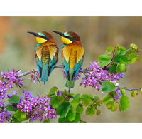 Buitencanvas 58x78cm bijeneters