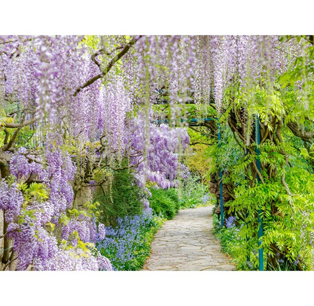 Buitencanvas 58x78cm blauwe regen