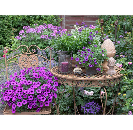 Buitencanvas 58x78cm bloemen paars