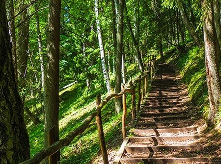 Buitencanvas 78x58cm houten trap