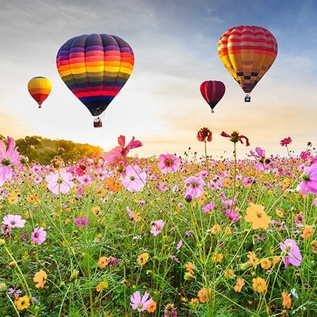 Buitencanvas 78x78cm luchtbalonnen