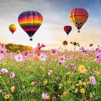 Buitencanvas 78x78cm luchtbalonnen