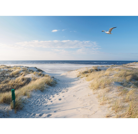 Buitencanvas h58b78cm strand/meeuw