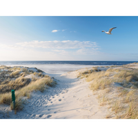 Buitencanvas h58b78cm strand/meeuw