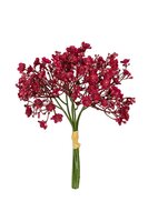 Bundel gypsophila h28cm cerise
