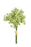 Bundel gypsophila h28cm licht groen
