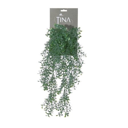 Buxus hanger l50cm groen hanger (Zijde-pant)