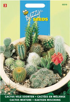 Cactus all-round mengsel 0.2gram - afbeelding 4