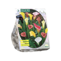 Calla zantedeschia mix 3st - afbeelding 1