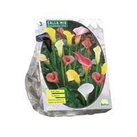Calla zantedeschia mix 3st - afbeelding 2