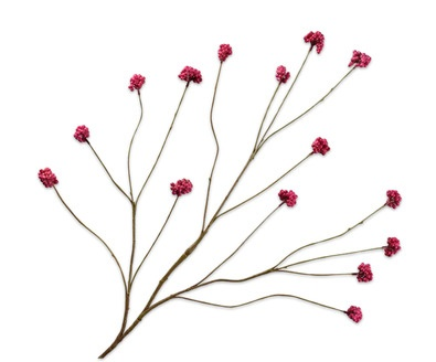 Callicarpatak l94cm fuchsia