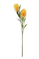 Callistemonsteel l76cm geel