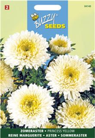 Callistephus chinensis princes 0.5gram - afbeelding 3