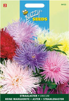 Callistephus chinensis unicum 1gram - afbeelding 4