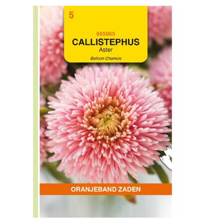 Callisthephus balloon chamois 20zdn