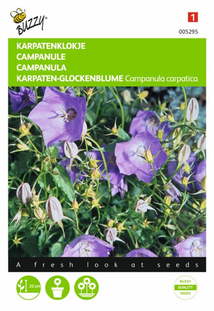 Campanula carpatica blauw 0.25gram - afbeelding 1