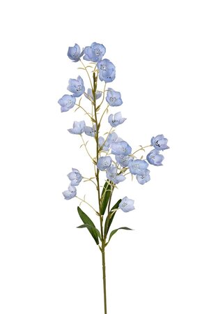 Campanula l95cm licht blauw