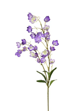 Campanula l95cm lila