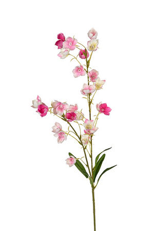 Campanula l95cm roze