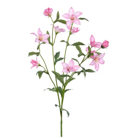 Campanulasteel l80cm roze