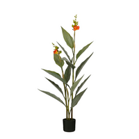 Canna in pot d46h115cm oranje