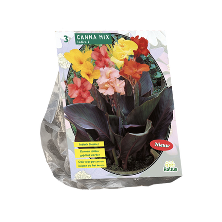 Canna mix 3st - afbeelding 1