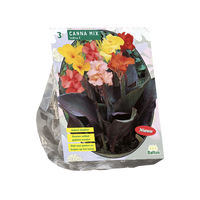 Canna mix 3st