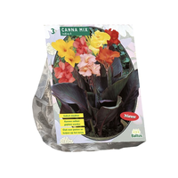 Canna mix 3st - afbeelding 2
