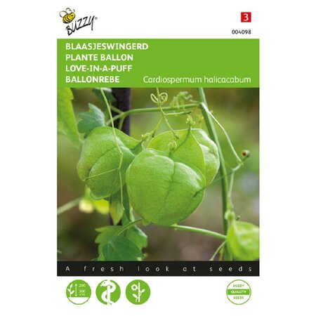 Cardiospermum halicacabum 2g - afbeelding 1