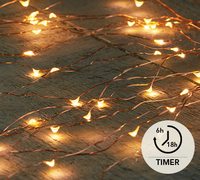 Cascade koperdraad 100l timer bo